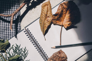 Read more about the article Doku Nedir?